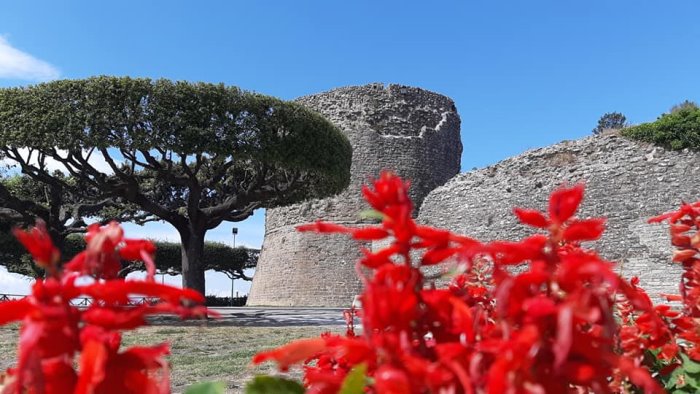 ariano cani portati a spasso da proprietari incivili sos dalla villa comunale