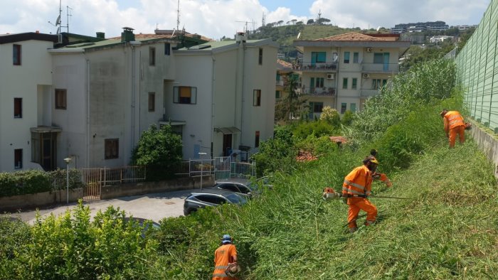 anas al via lo sfalcio dell erba sulla tangenziale di salerno