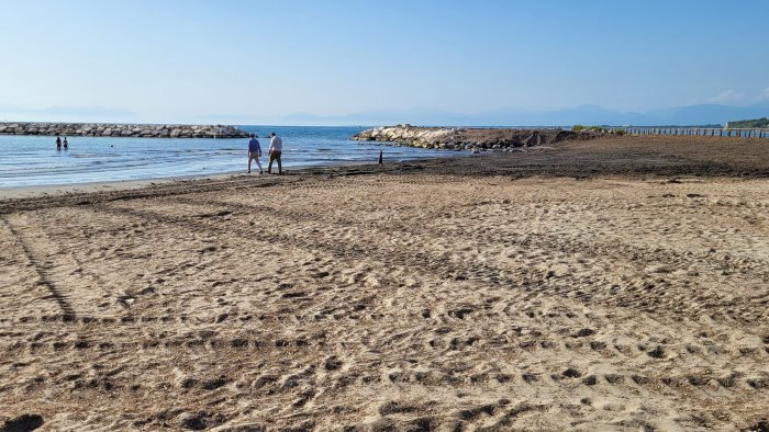 via la posidonia dall arenile di agropoli il sindaco promessa mantenuta