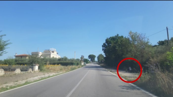 ariano a che punto siamo con l installazione delle pensiline lungo le strade