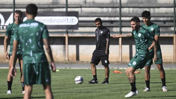 avellino d ausilio vogliamo vincere il mio ruolo