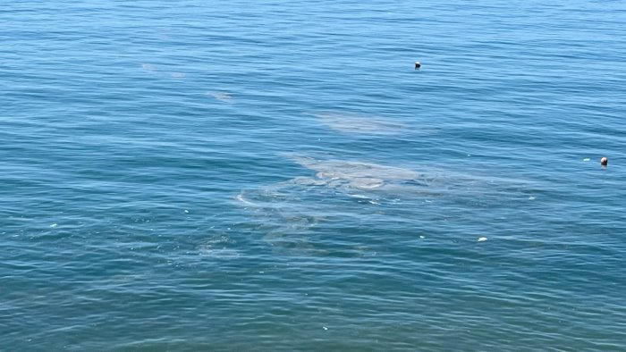 salerno mare sporco e spiagge nel degrado cosi muore la citta turistica