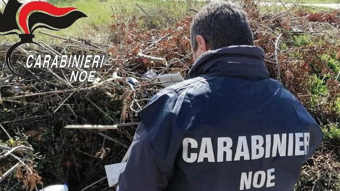 rifiuti tombati nei pressi del fiume calore scoperti dai carabinieri del noe