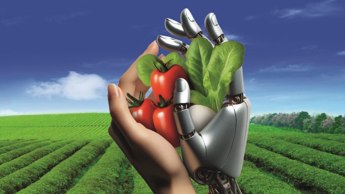 agrifood future la sfida dell innovazione tecnologica nell agroalimentare