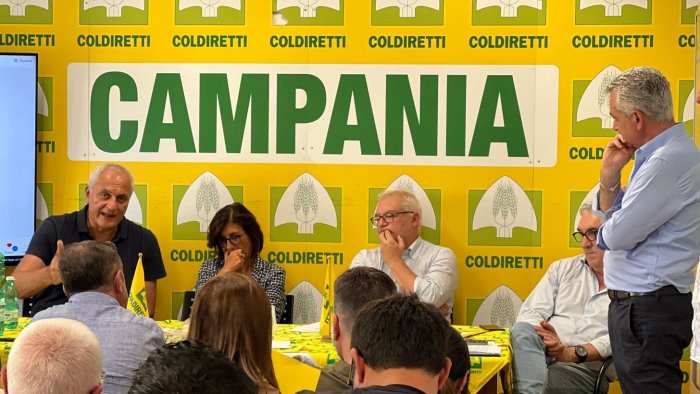 l agricoltura della campania lancia la sfida ai cambiamenti climatici