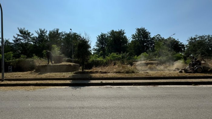 caserta via agli interventi di manutenzione del verde pubblico in citta