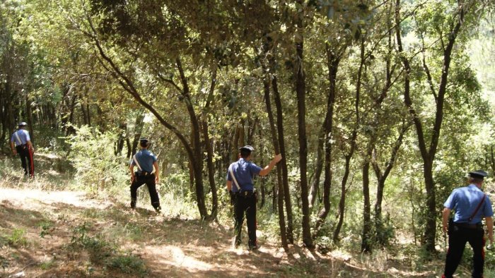 in cerca di funghi perde l orientamento rintracciato dai carabinieri