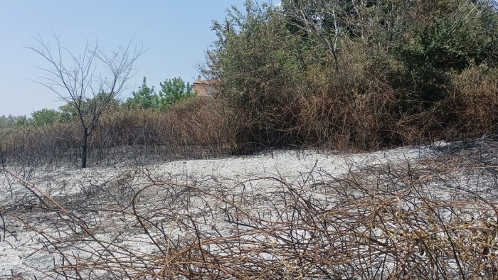 incendio lambisce alcune case vigili del fuoco di ariano evitano il peggio