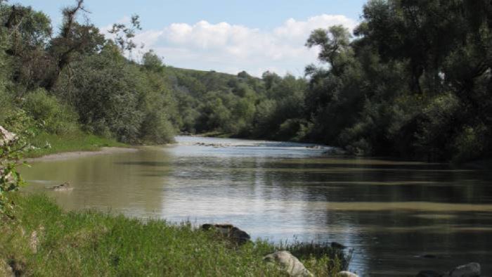 contratto di fiume evidente opportunita