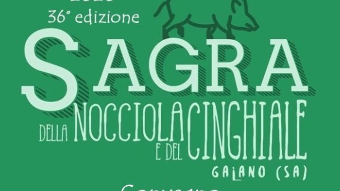 gaiano si prepara per la sagra della nocciola e del cinghiale