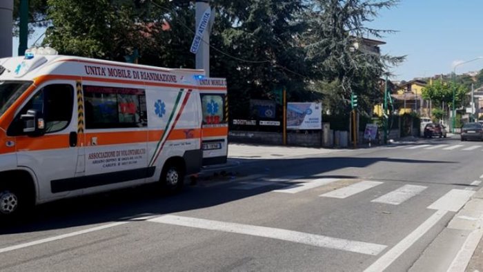 albero piomba sui cavi durante il trasporto un ferito