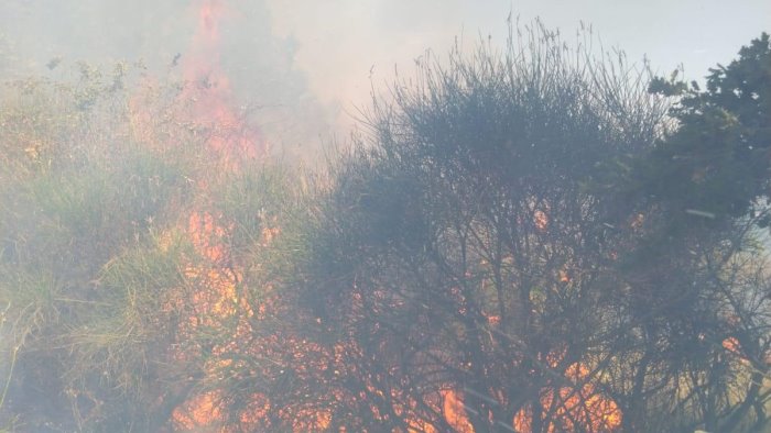 paura a montemarano fiamme a pochi metri dalle abitazioni