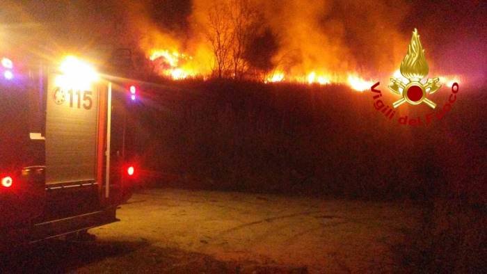 vasto incendio a baselice distrutti ettari di vegetazione