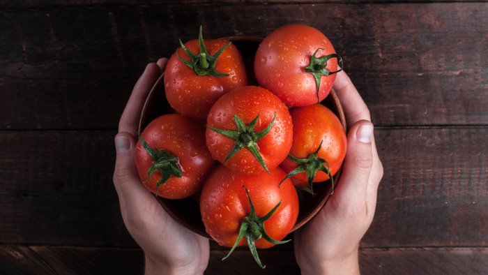 cia subito indennizzi ad agricoltori per pomodoro