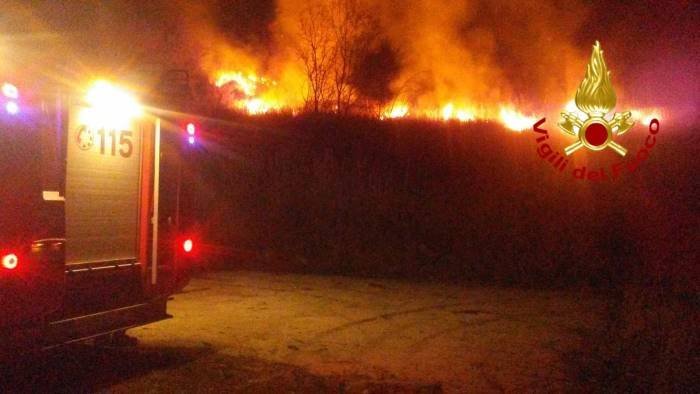 incendi terribile scenario in campania strage di animali bruciati vivi