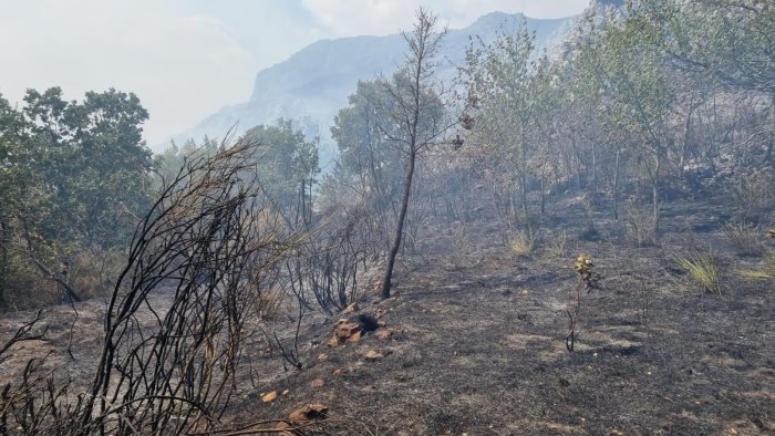 vasto incendio a caggiano denunciato il presunto piromane