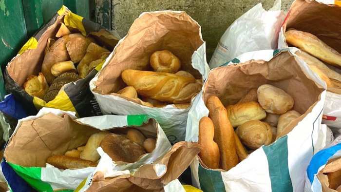 consegnati 30 pacchi di pane raffermo alla lega nazionale per la difesa del cane