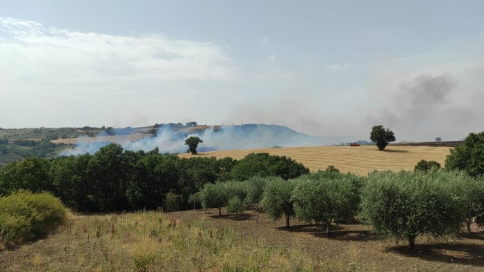 maxi incendio tra paduli e sant arcangelo trimonte canadair in azione foto