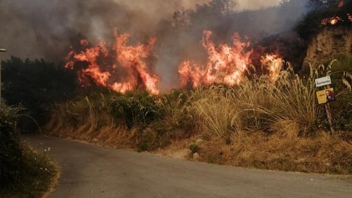 incendio ad agropoli fiamme domate orgoglioso dei miei concittadini