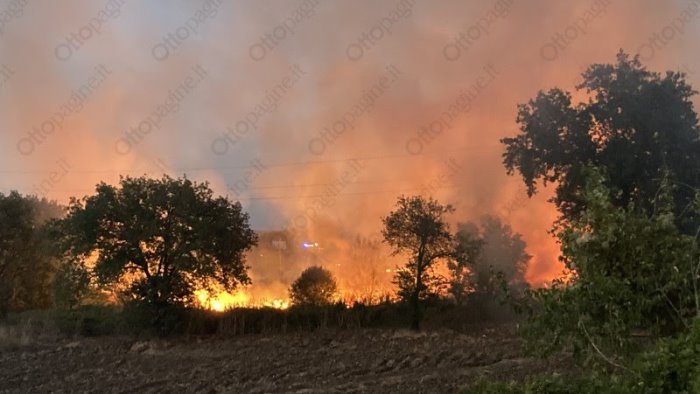 roghi appiccati nel sannio capannoni mezzi e alberi secolari in fiamme