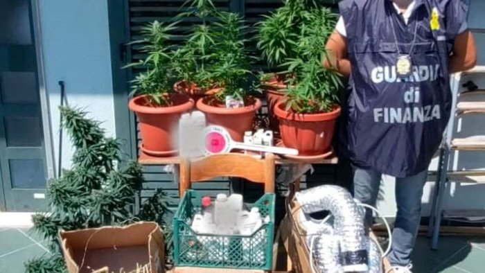 baronissi coltivava marijuana nella sua camera da letto denunciato