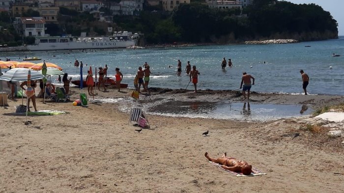 posidonia spiaggiata ad agropoli intervengono i turisti per pulire la spiaggia