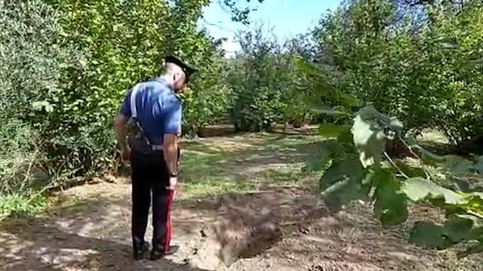 video omicidio ciro palmieri le armi del delitto erano sotterrate in cortile