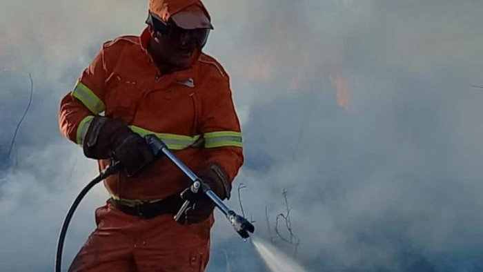 fiamme nel cilento vigili del fuoco in azione anche a centola