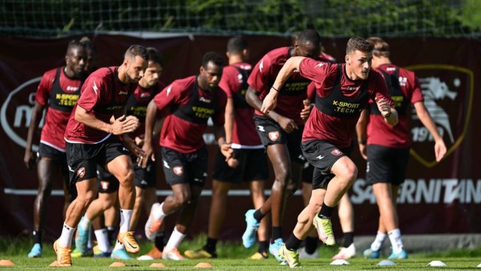 salernitana rosa da 37 calciatori in 12 potrebbero salutare entro il 31 agosto