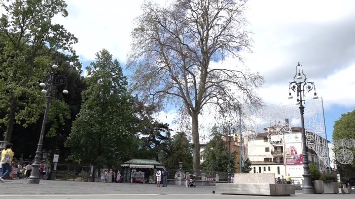 giu il platano della villa comunale va in fumo il sogno della citta giardino