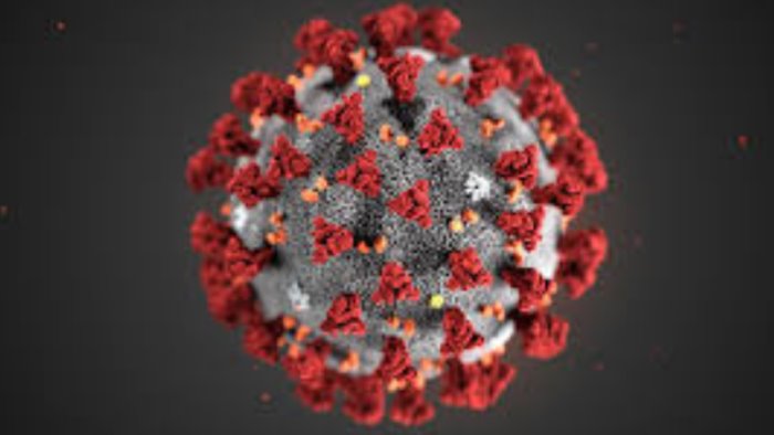 covid 222 su 907 tamponi il virus corre ancora veloce ad avellino e ariano