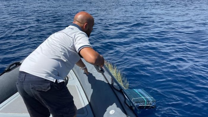 lotta alla pesca illegale nuovi controlli sequestrati due f a d a pisciotta