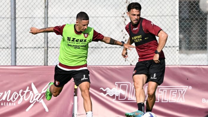 salernitana non solo simy con il benevento si discute anche di veseli