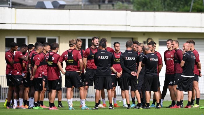 salernitana sampdoria quattro assenze per i granata i convocati