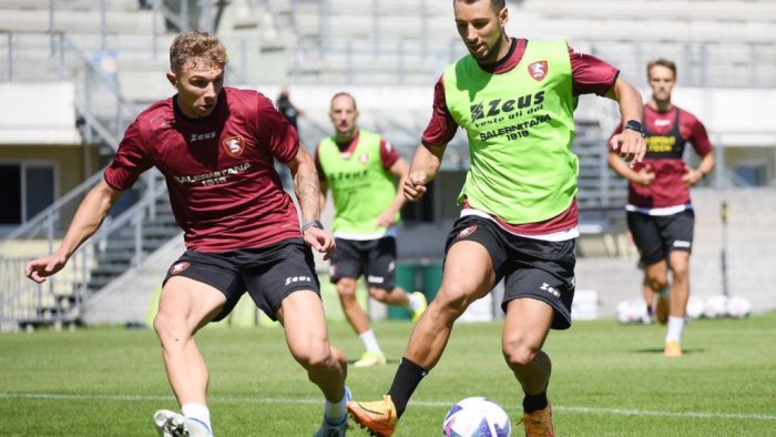 ufficiale salernitana cavion passa al vicenza a titolo definitivo