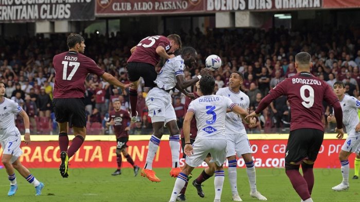 salernitana sampdoria 4 0 emozioni granata all arechi la fotogallery