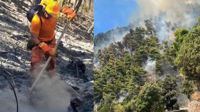 incendio in costiera l ira del sindaco di maiori contro i piromani vergogna