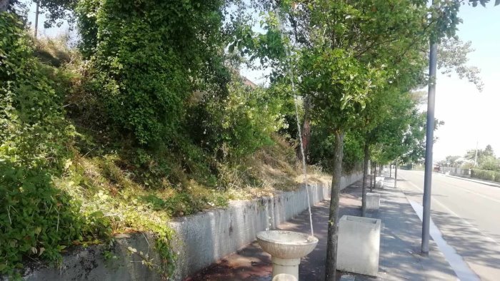 via aldo moro un geyser non una fontanella quanta acqua sprecata