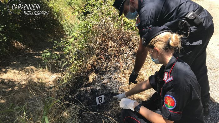 fiamme a casertavecchia in fumo 40 ettari sulle colline