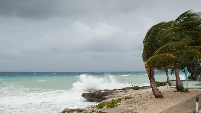 appunti di viaggio il vento dei caraibi tra magia forza e maledizione