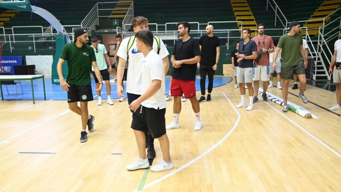 delfes nasce la societa satellite avellino academy basket