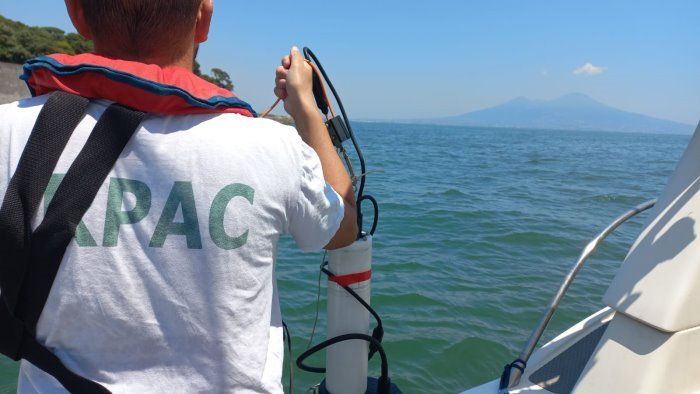 l arpac nel mare del cilento la stessa alga vista nel golfo di napoli