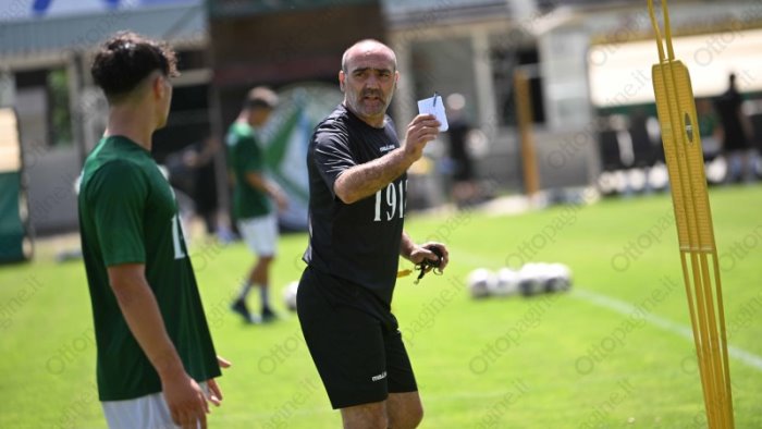 avellino dentro armellino e gori una pedina in prestito al campobasso