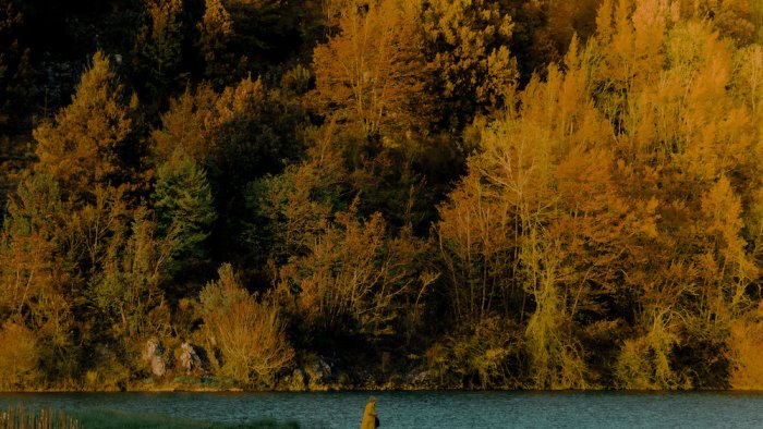 dalla liguria alla campania le foto piu belle delle foreste italiane