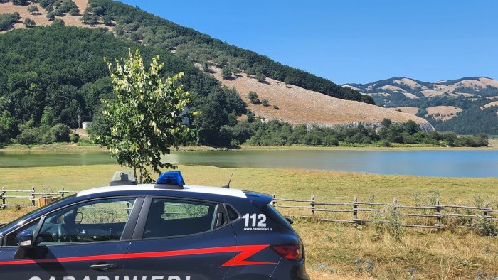 controlli dei carabinieri al laceno in azione a tutela della vacca podolica