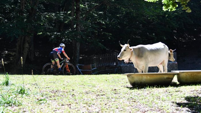 a ottati in rampa di lancio la penultima prova del circuito x country