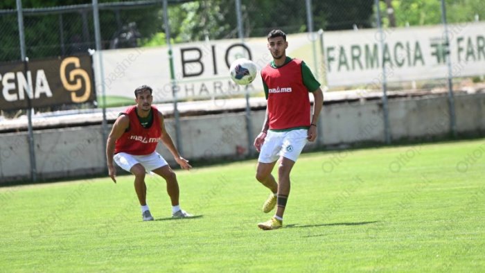 avellino ecco il girone c di serie c con la x le novita