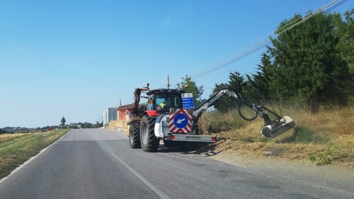 selva di erbacce ad ariano l anas interviene dopo l appello di ottopagine