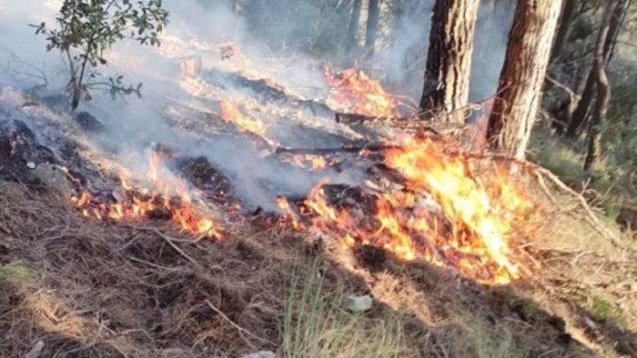 emergenza incendi nel salernitano chiusa l a3 diversi comuni senza corrente