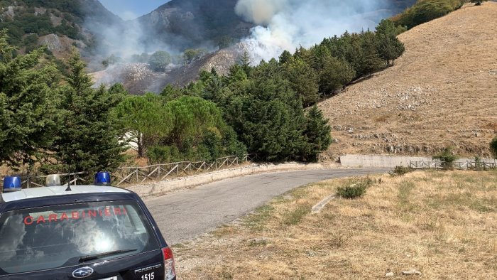 contrasto agli incendi boschivi multe a raffica per chi non rispetta le regole